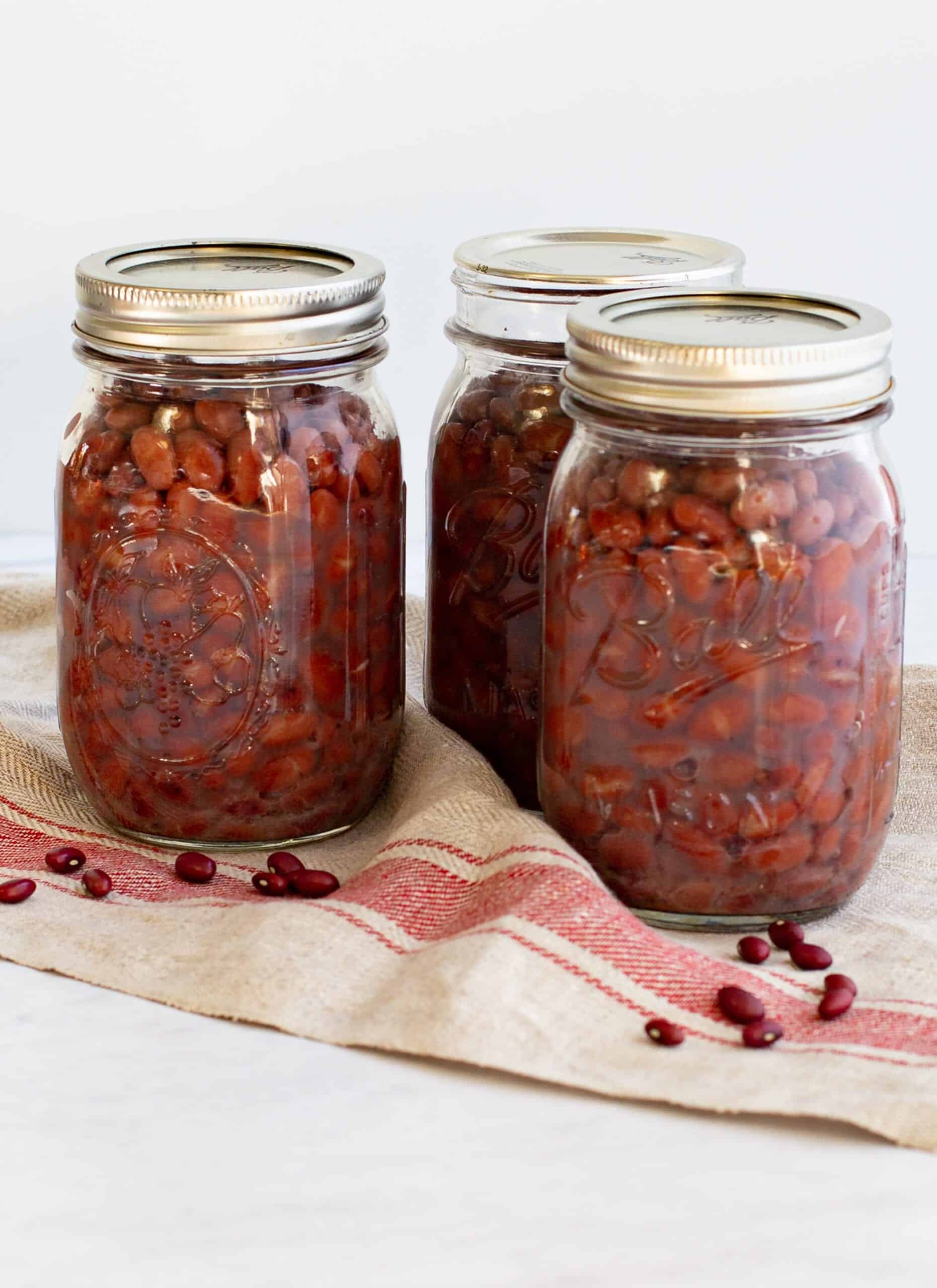 Side-by-side comparison of store-bought canned beans and home-canned beans